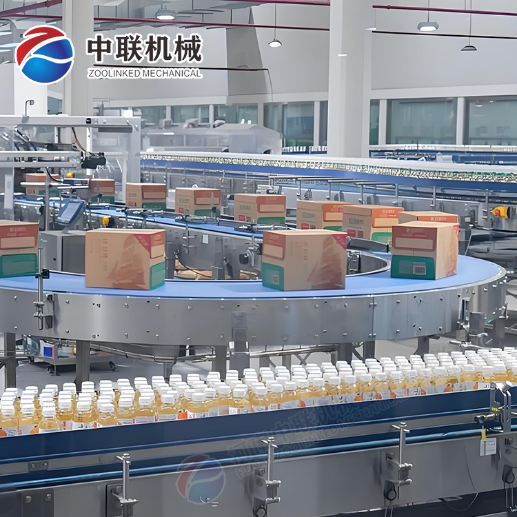 整套木瓜汁飲料生產設備